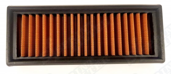 P003S