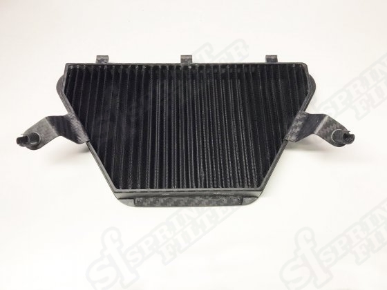 R177S F1-85-SBK