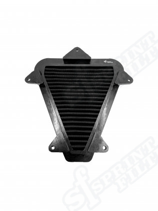 SM247S F1-85