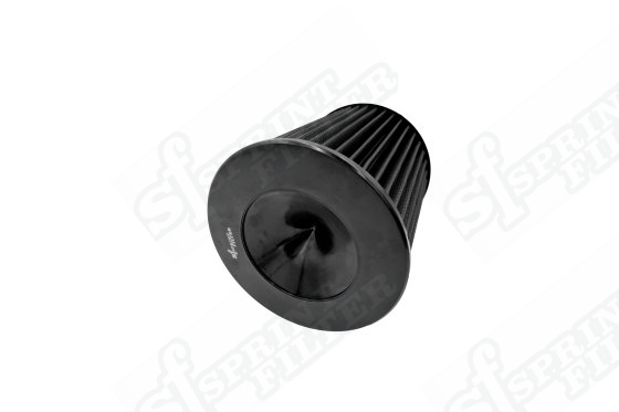 C1236S F1-85