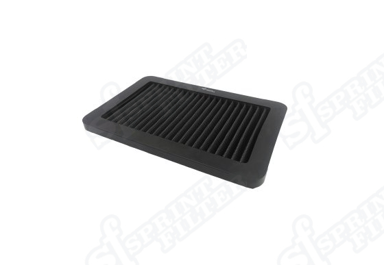 P1261S F1-85