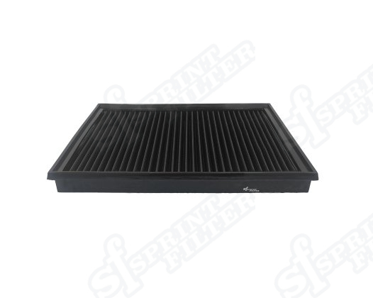P289S F1-85