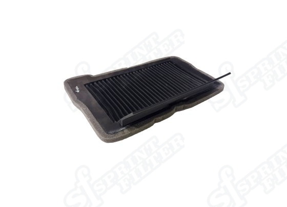 R272S F1-85