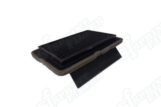 R272S F1-85