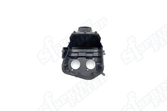 R176S F1-85