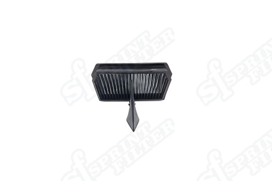 R176S F1-85