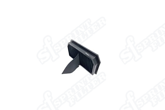 R176S F1-85